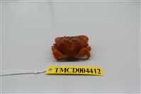 藏品(兇猛酋婦蟹)的圖片